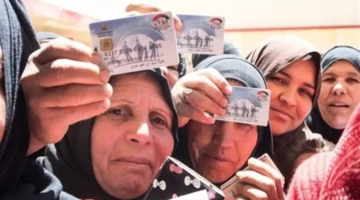 كيف تستعلم بالرقم القومي عن مستحقي تكافل وكرامة 2026؟